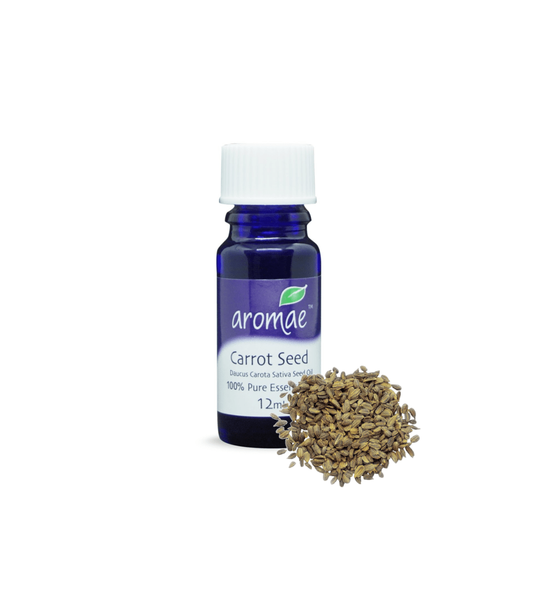 Carrot Seed - Aromae Essentials