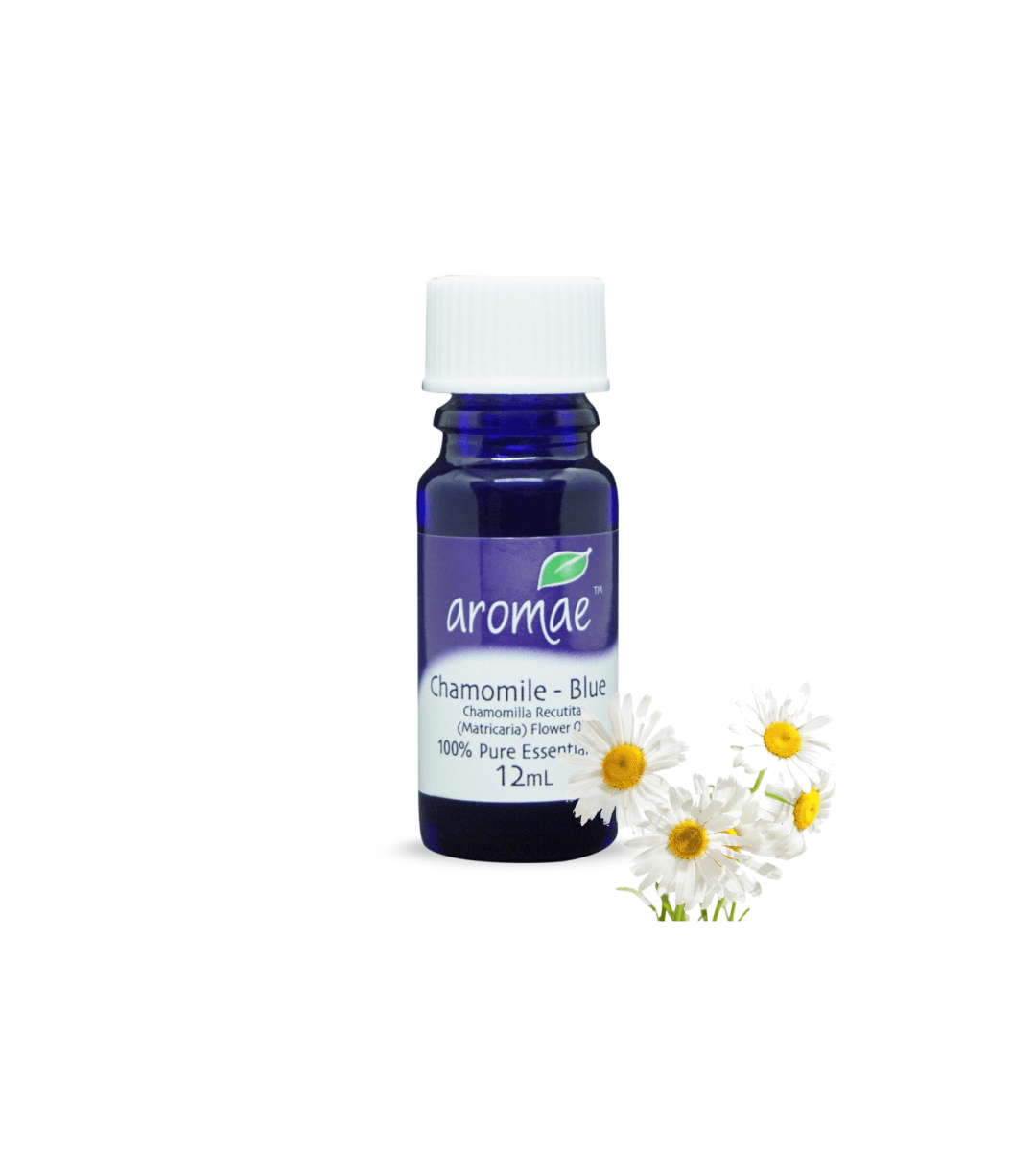Chamomile Blue Pure - Aromae Essentials