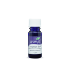 Cinnamon Bark - Aromae Essentials