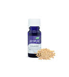 Coriander - Aromae Essentials