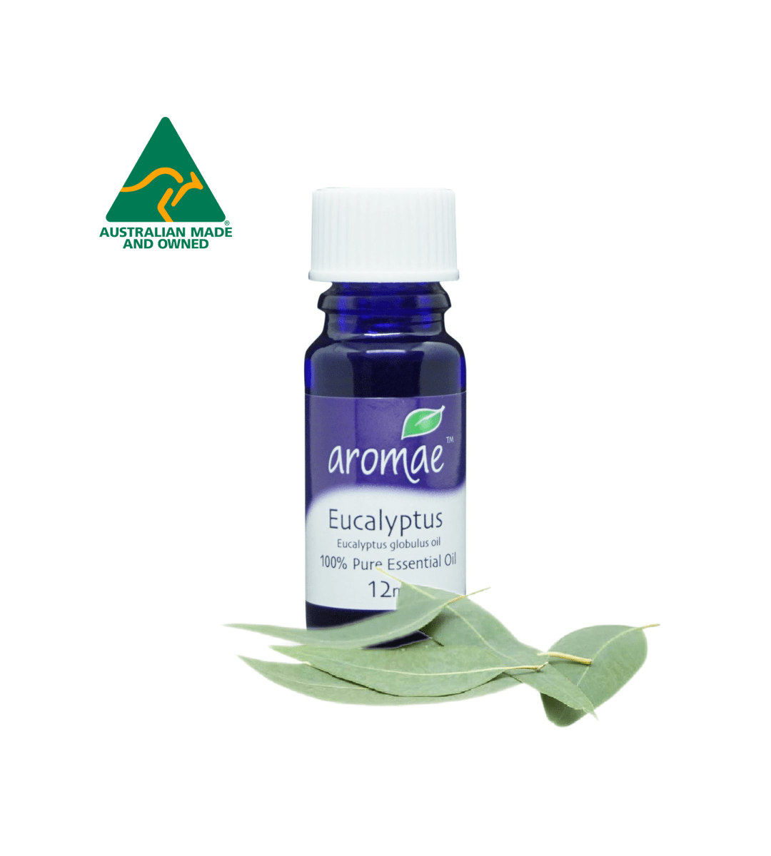Eucalyptus (Blue Gum) - Aromae Essentials
