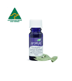Eucalyptus (Lemon Scented) - Aromae Essentials