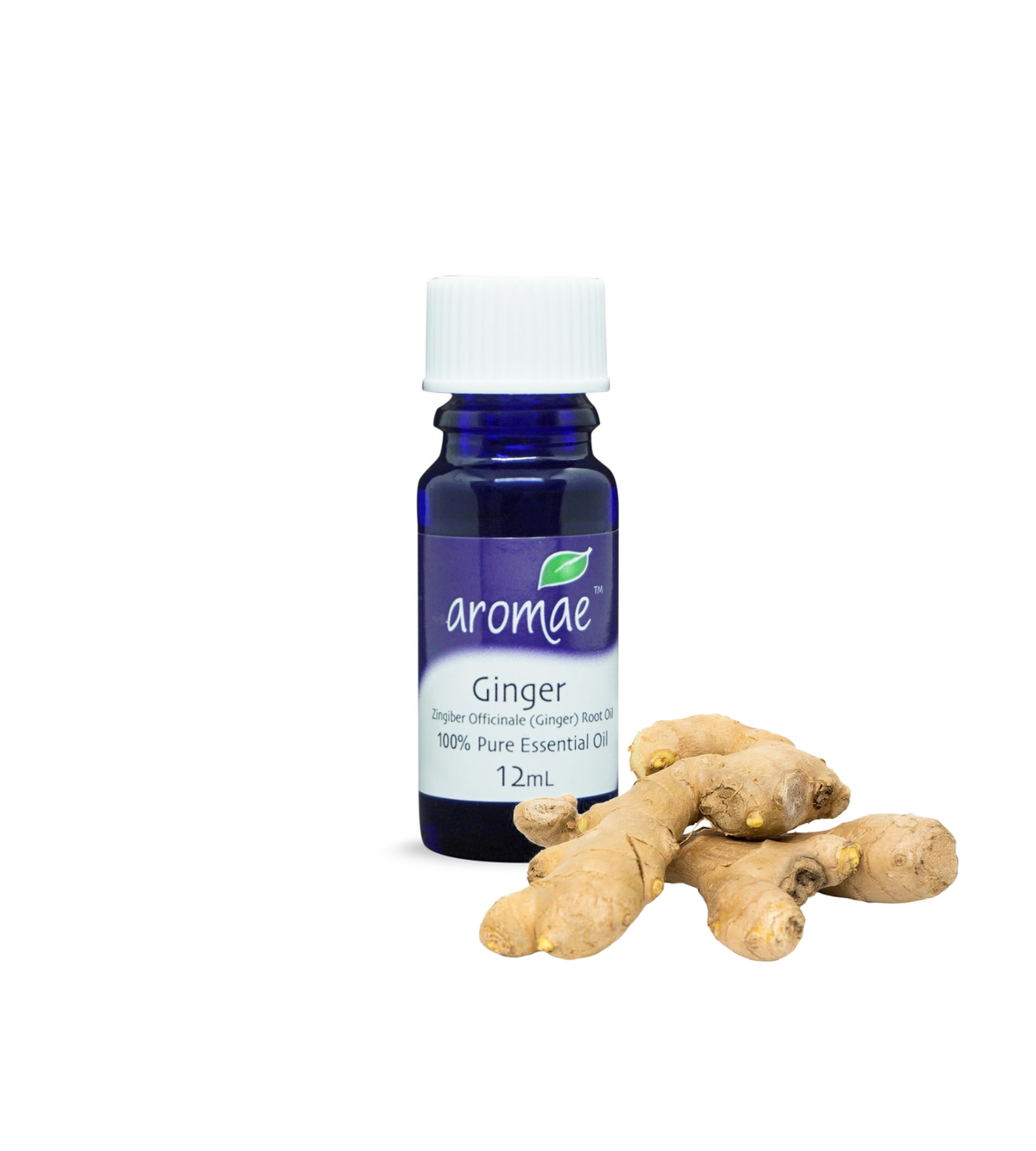 Ginger