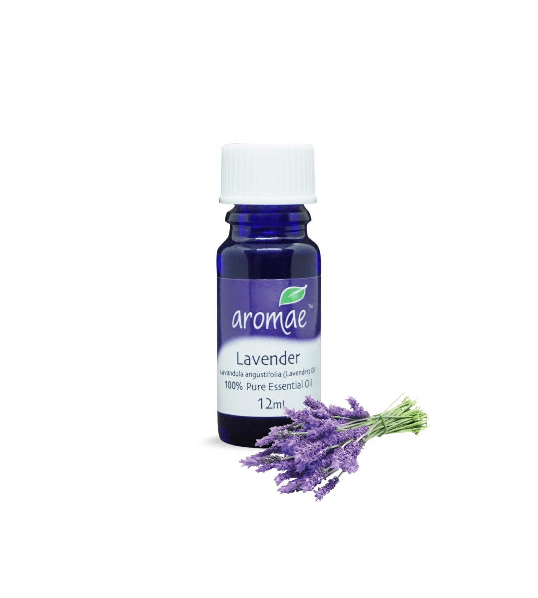 Lavender (French) - Aromae Essentials