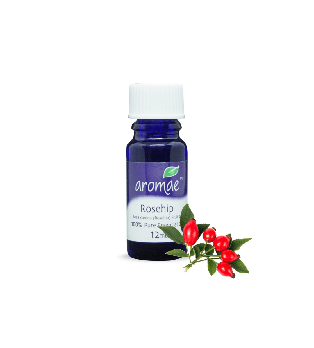 Rosehip - Aromae Essentials