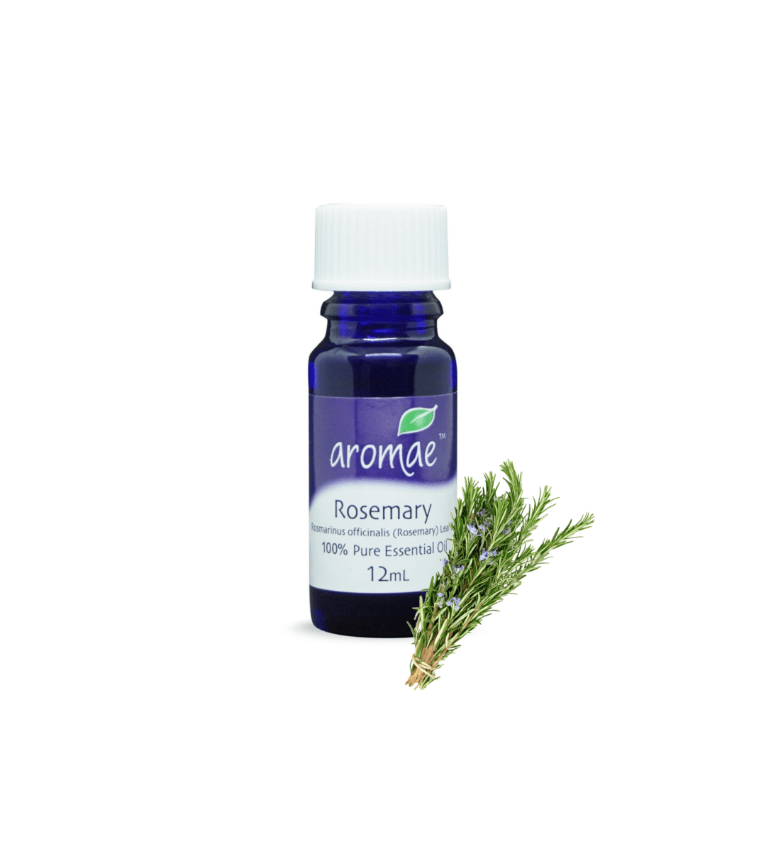 Rosemary - Aromae Essentials