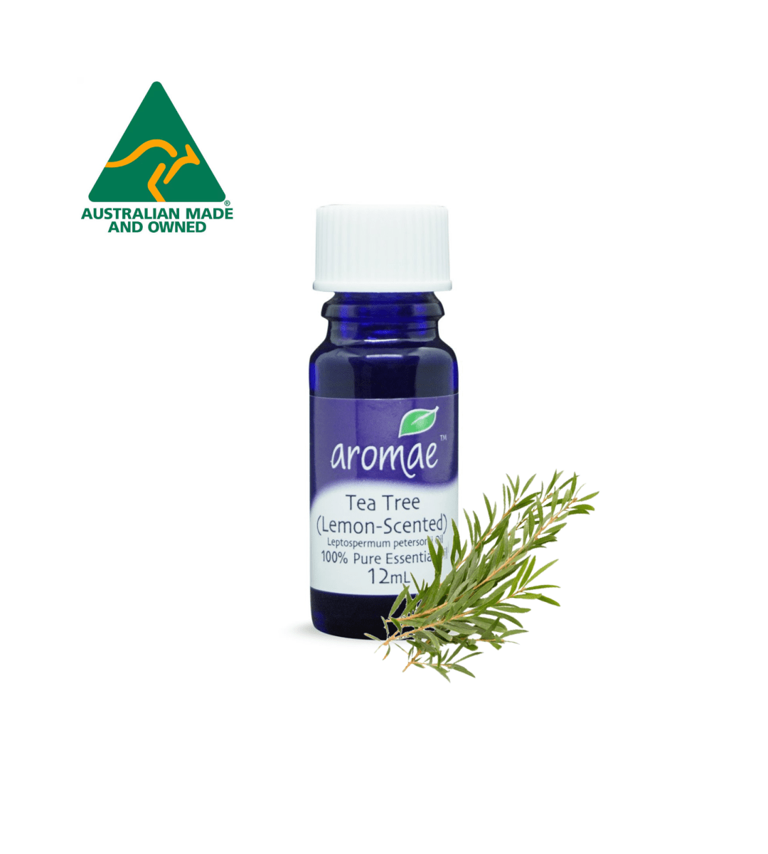 Tea Tree (Lemon - Scented) - Aromae Essentials