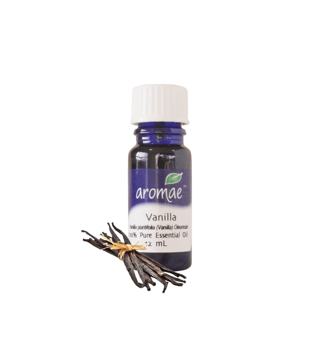 Vanilla Oleoresin - Aromae Essentials