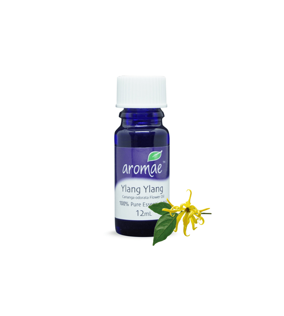Ylang Ylang - Aromae Essentials