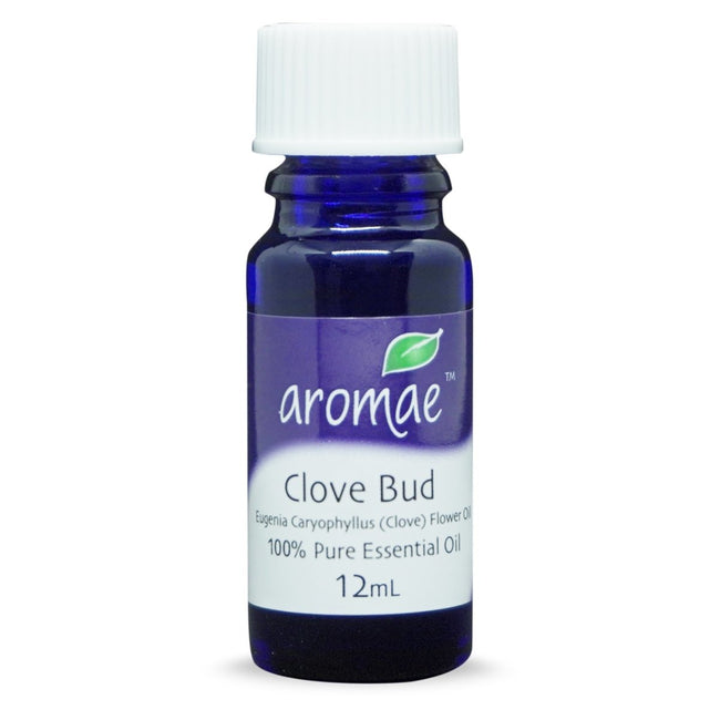 Clove Bud - Aromae Essentials
