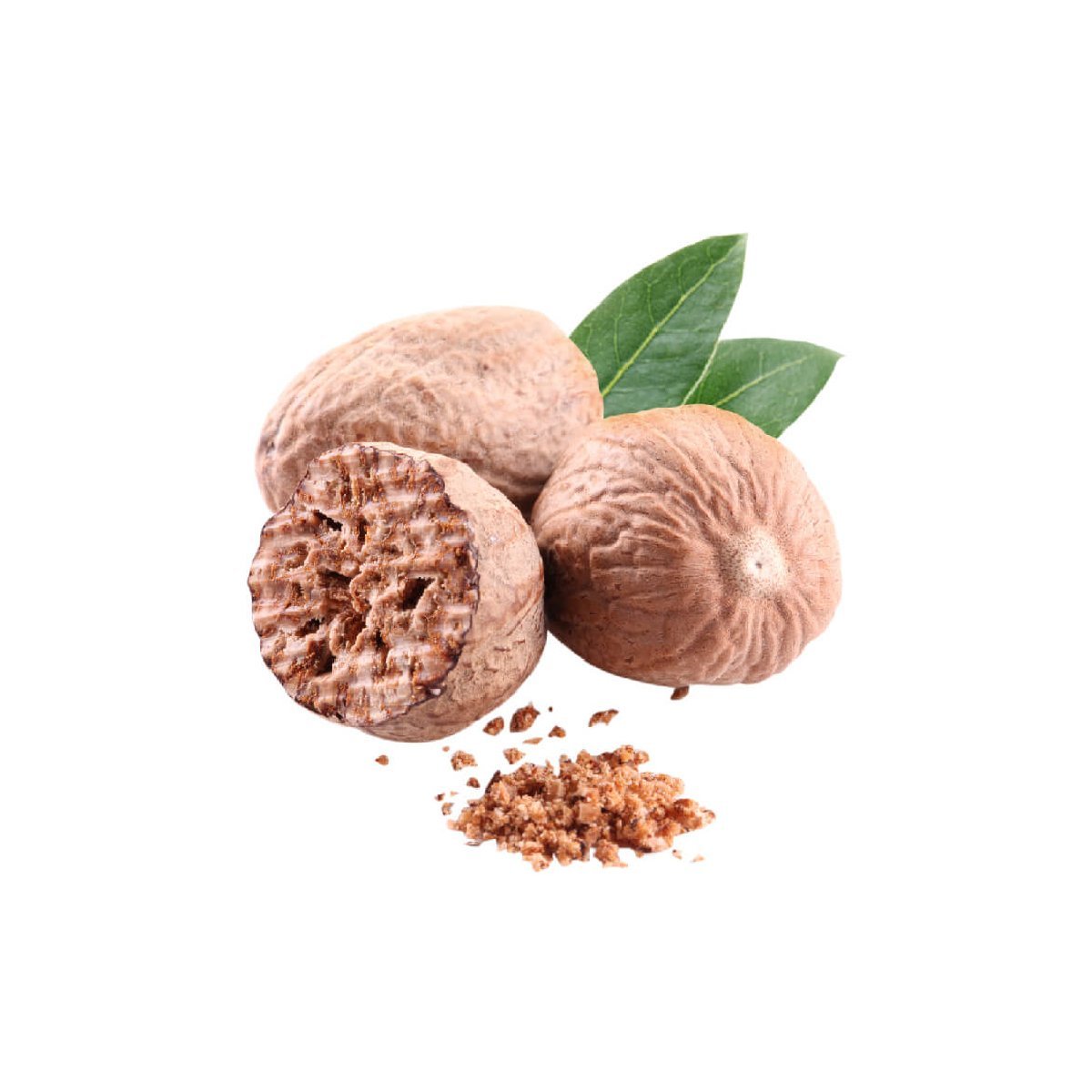 Nutmeg - Aromae Essentials