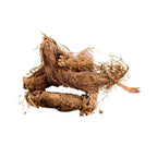 Spikenard - Aromae Essentials