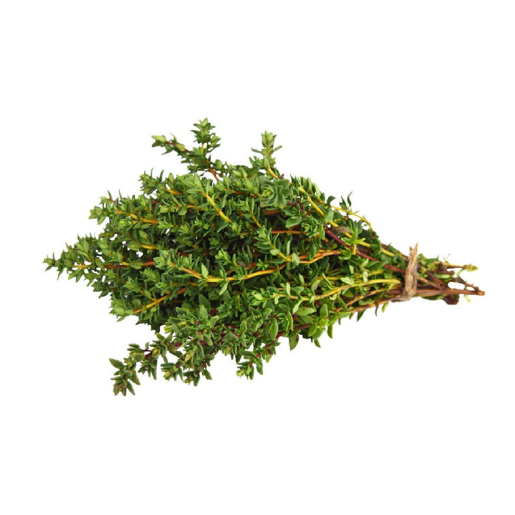 Thyme - Aromae Essentials