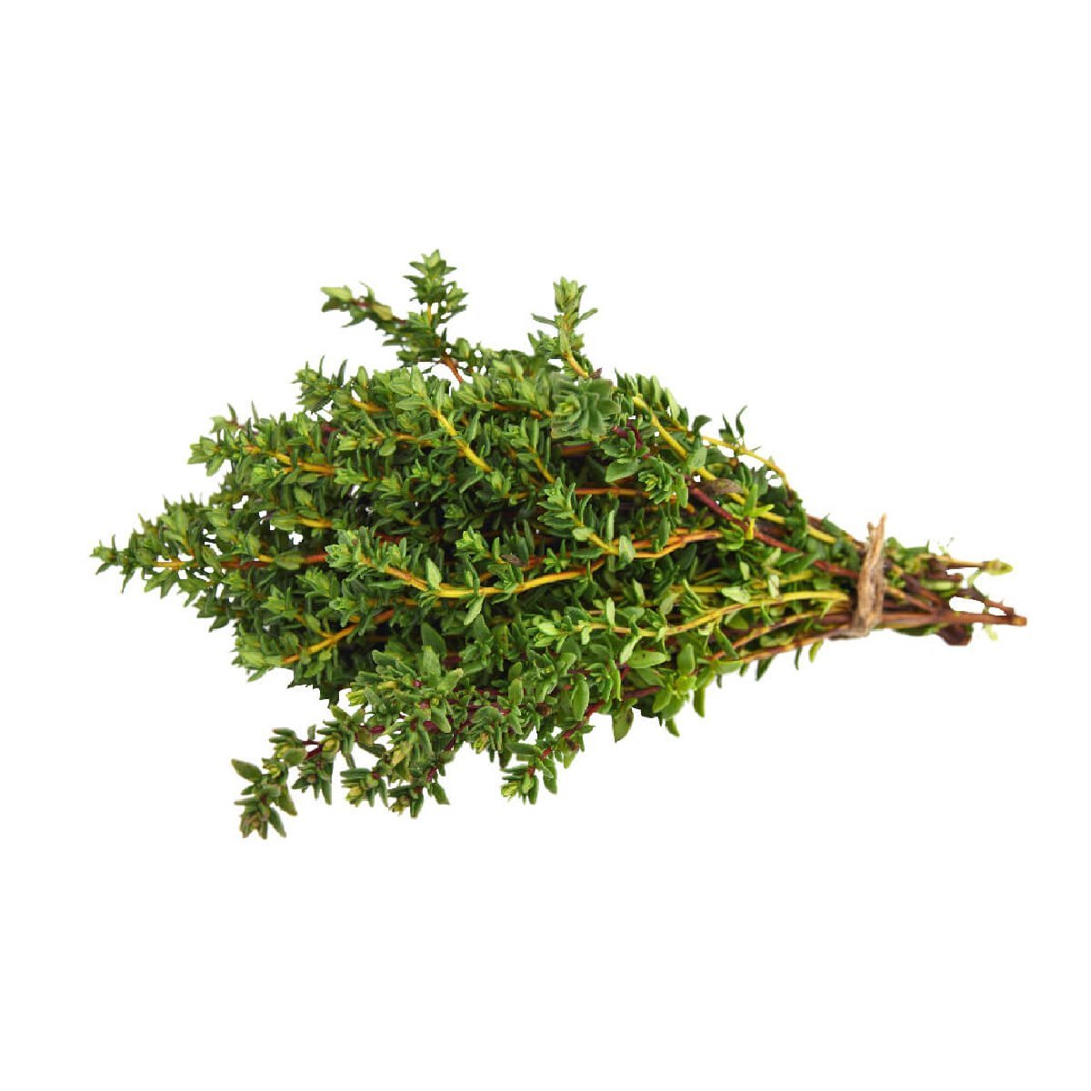 Thyme - Aromae Essentials